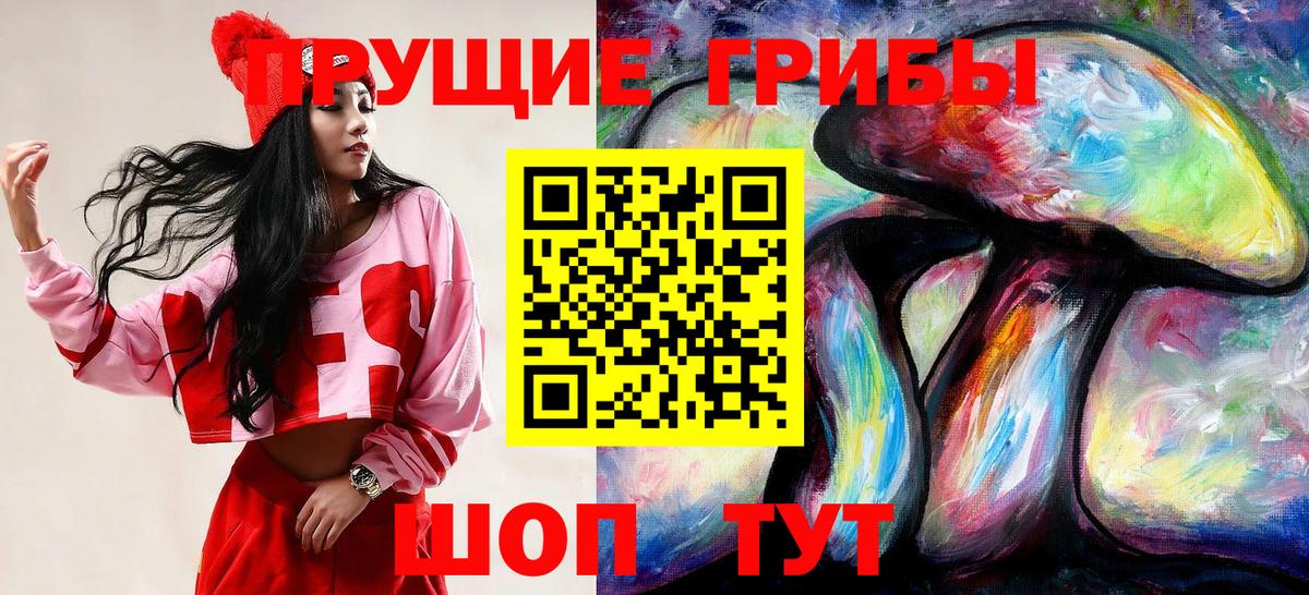 Галлюциногенные грибы мухоморы  Галлюциногенные грибы Psilocybe  где купить наркоту  Вход с VPN  Краснознаменск 